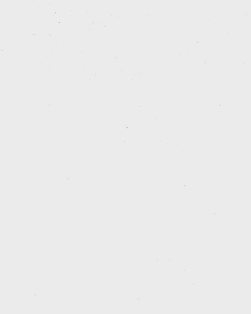 "HST 1937 -2005 " By Ralph Steadman